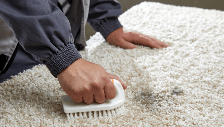 Professional Rug Cleaning Glengala